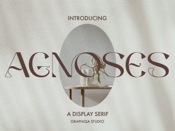 Agnoses - Display Serif Yazı Tipi