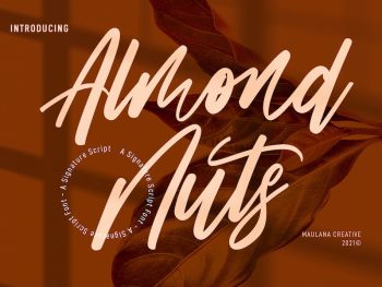 Almond Nuts Signature Script Font Yazı Tipi