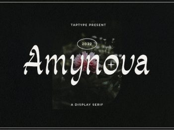 Amynova - Script Sans Serif Display Font Yazı Tipi