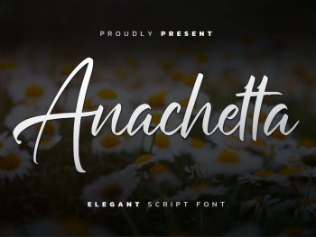 Anachetta - Elegant Script Yazı Tipi