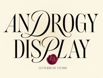 Androgy Display Yazı Tipi
