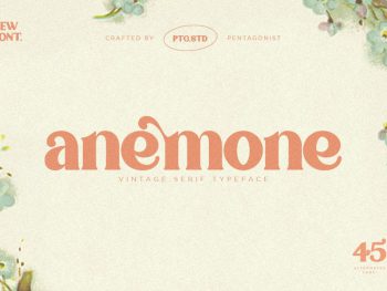 Anemone | Vintage Serif Yazı Tipi