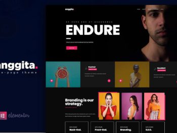 Anggita - One Page Portfolio Theme WordPress Teması