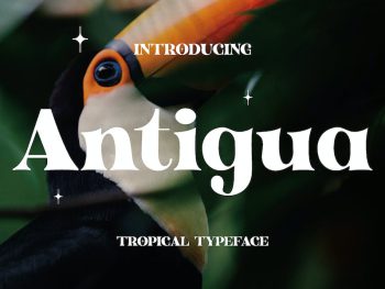 Antigua - Tropical Display Yazı Tipi