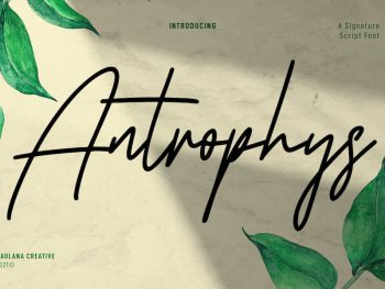 Antrophys Signature Script Font Yazı Tipi
