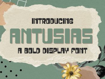 Antusias Bold Display Font Yazı Tipi