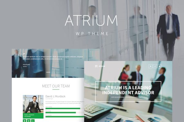 Atrium - Finance Consulting WordPress Teması