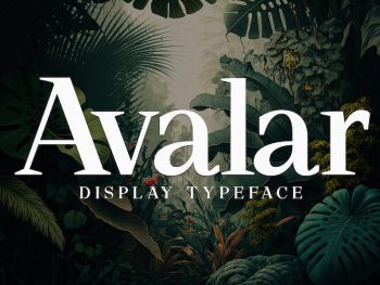Avalar - Elegant Display Yazı Tipi