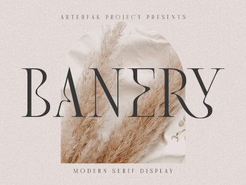 Banery - Modern Serif Yazı Tipi