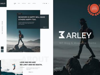 Barley WordPress Teması