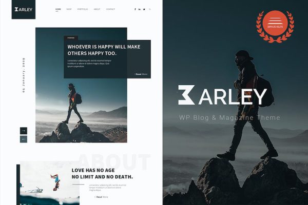 Barley WordPress Teması