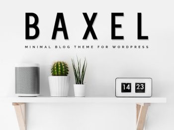 Baxel - Minimalist  Blog Theme WordPress Teması
