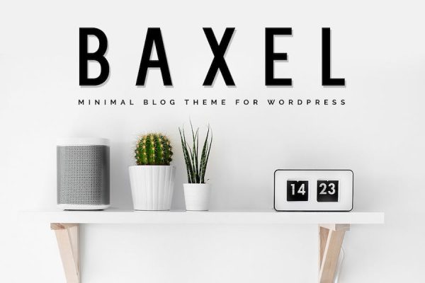 Baxel - Minimalist  Blog Theme WordPress Teması