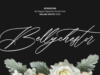 Bellychestor Elegant Signature Script Font Yazı Tipi