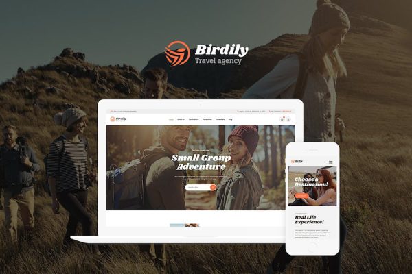 Birdily WordPress Teması