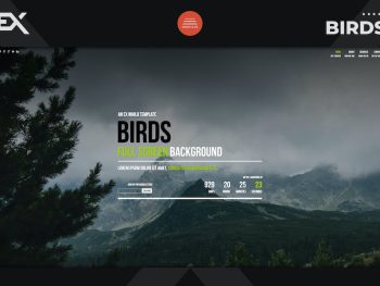 Birds - Responsive Coming Soon Page Yazı Tipi