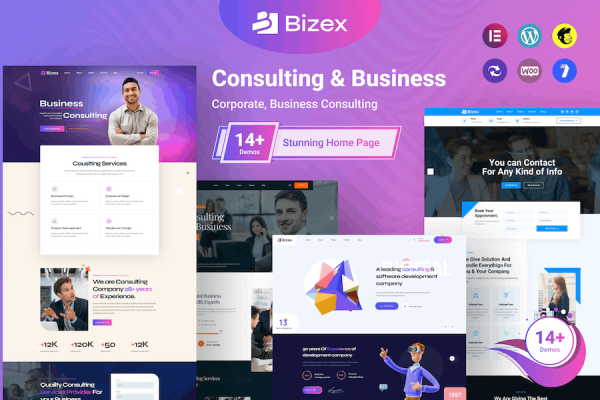 Bizex - Business Consulting WordPress Teması