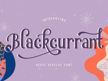 Blackcurrant | Serif Display Font Yazı Tipi