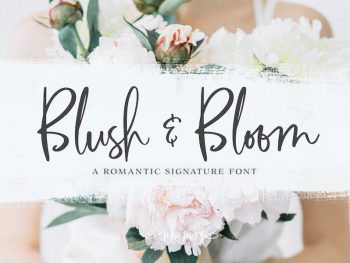 Blush & Bloom Script Font Yazı Tipi