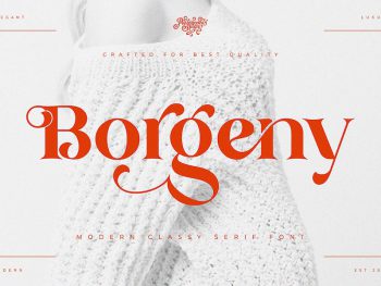 Borgeny | Modern Classy Serif Font Yazı Tipi