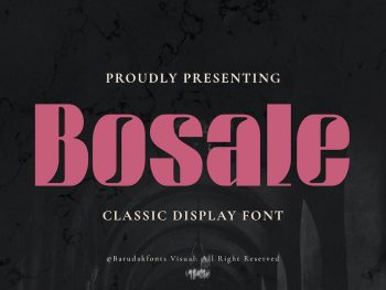 Bosale - Serif Bold Displat Font Yazı Tipi