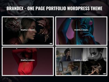 Brandex - One Page Portfolio WordPress Teması