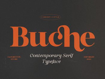 Buche Contemporary Serif Yazı Tipi