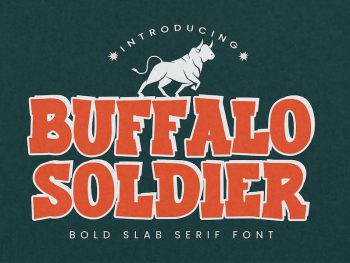 Buffalo Soldier - Bold Slab Yazı Tipi