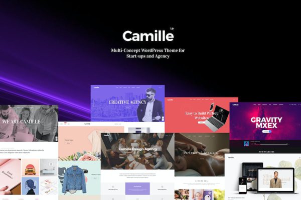 Camille - Multi-Concept WordPress Teması