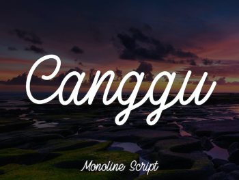 Canggu - Monoline Script Typeface Yazı Tipi