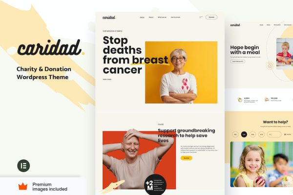 Caridad - Charity and Donations Elementor Pro WordPress Teması