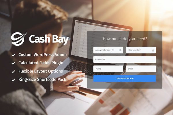 Cash Bay - Loan & Credit Money WP Theme WordPress Teması