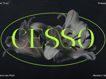 Cesso Ligature Display Serif Yazı Tipi
