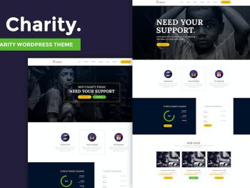 Charity - Nonprofit WordPress Teması