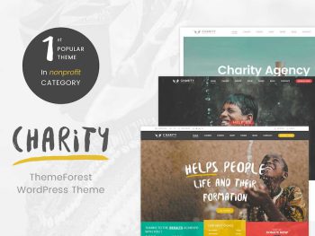 Charity WordPress Teması