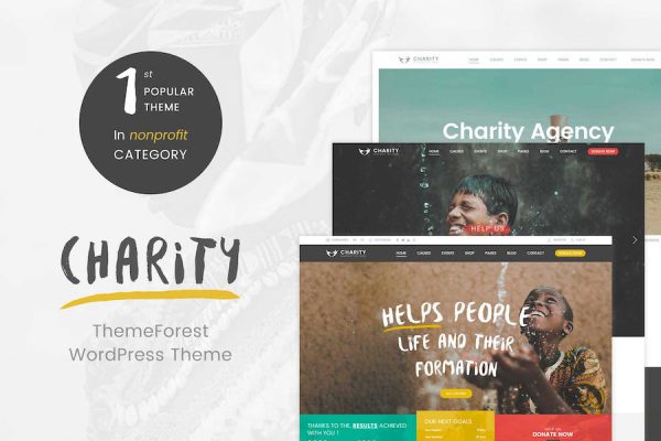 Charity WordPress Teması