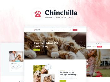 Chinchilla WordPress Teması