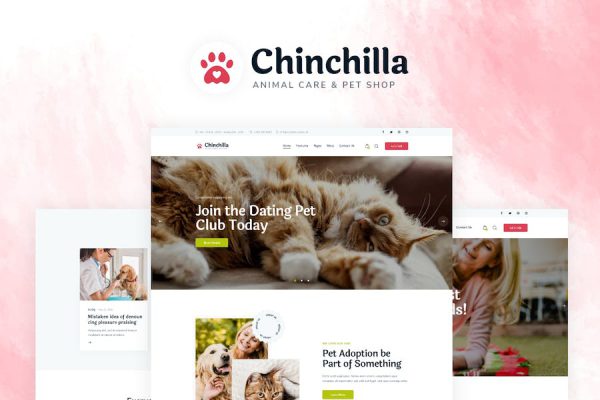 Chinchilla WordPress Teması