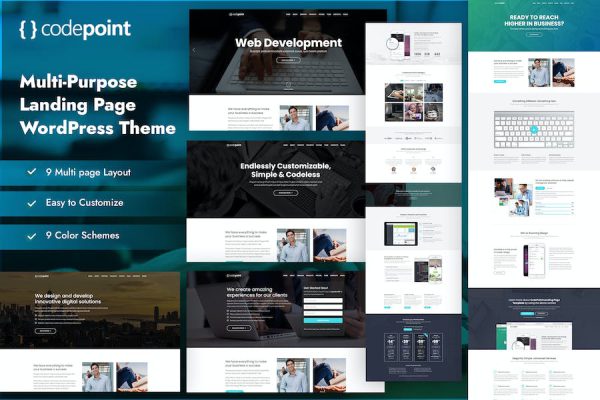 CodePoint - Landing Page WordPress Teması