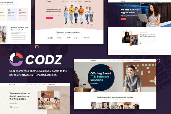 Codz - Software & IT Services Theme WordPress Teması