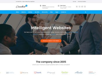 Consolution - Financial Consulting HTML Templates Yazı Tipi
