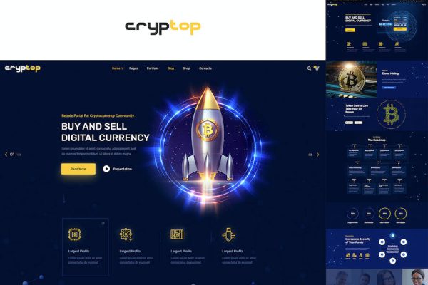 CrypTop - ICO Landing and CryptoCurrency WordPress Teması