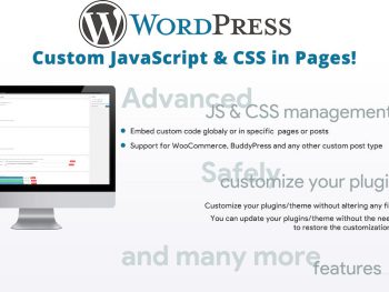Custom JavaScript & CSS in Pages! WordPress Eklentisi