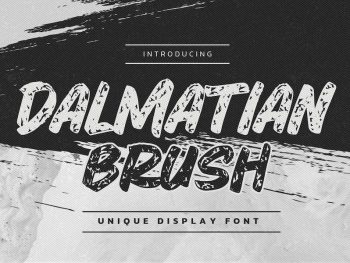 Dalmatian Brush - Unique Display Font Yazı Tipi