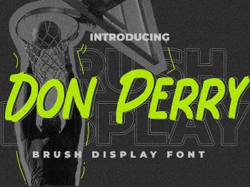 Don Perry - Brush Display Font Yazı Tipi