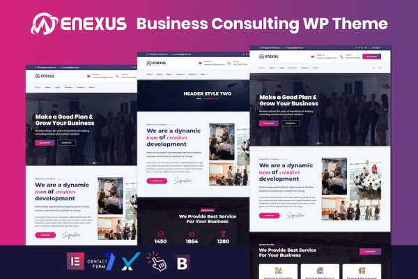 Enexus - Consulting Business Elementor WordPress Teması