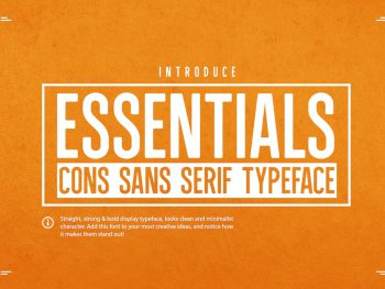 Essentials - Sans Serif Typeface Yazı Tipi