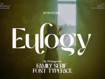 Eulogy | Variable Font Family Yazı Tipi