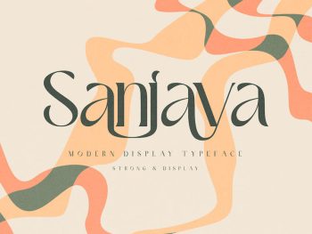 Ez-Sanjaya - Modern Decorative Font Yazı Tipi