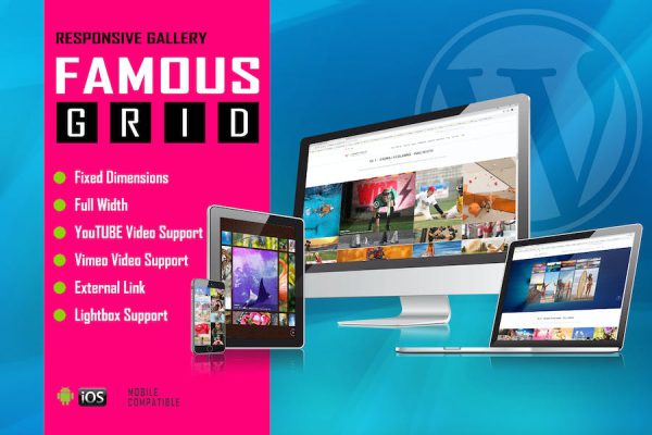 Famous - Responsive Image And Video Grid Gallery WordPress Eklentisi
